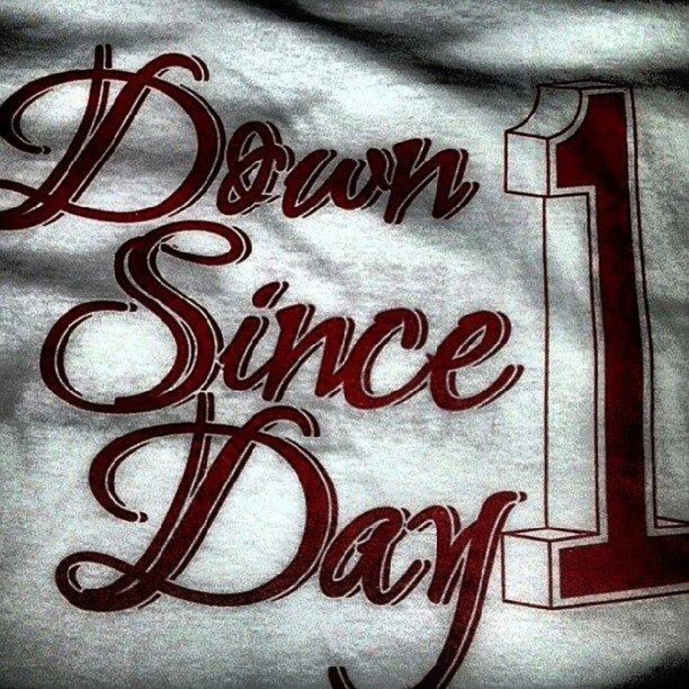 Meet your Posher, Shirleyave